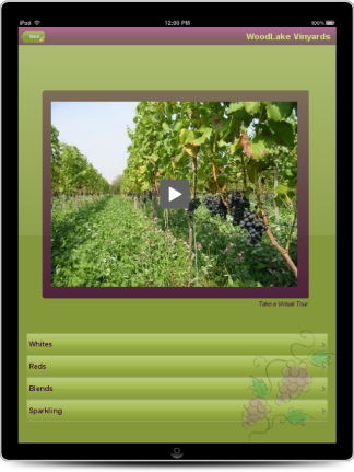 vinyard_sample
