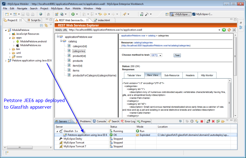 restwebserviceexplorer